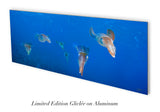 "Reef Squid Squadron" 14X36 Limited Edition Satin