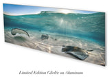 "Afternoon Rays" 14X36 Exhibition Print Satin