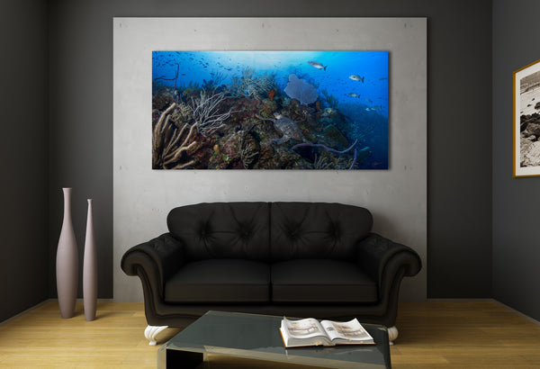 "Breaker's Cutback" 24X48 Exhibition Print Gloss