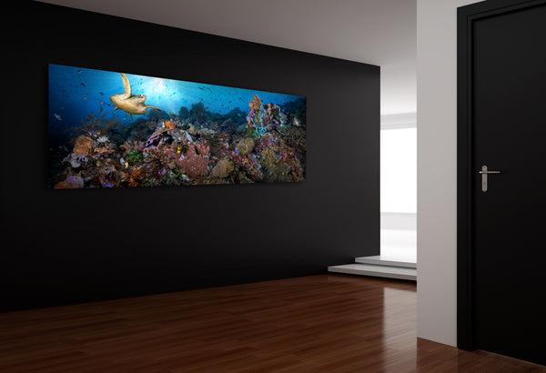 "Coral Dynasty" 18X48 Exhibition Print Satin