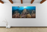 "Coral Majesty" 24X48 Exhibition Print Satin