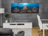 NEW RELEASE "Coral Majesty"