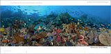 "Coral Reef Collection" PDF