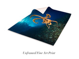 "Day Octopus"