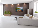 "Fijian Reef Scene"