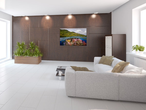 "Fijian Reef Scene"