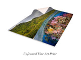 "Fijian Reef Scene"