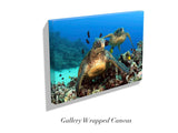 "Green Sea Turtles"