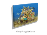 "Elkhorn Reef"