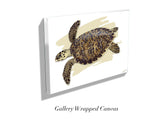 "Juvenile Hawksbill Turtle"