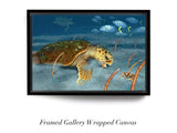"Sea Turtle Eating Polyps"