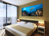 "Discovery" 18x48 Limited Edition Gloss