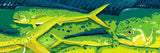"Dorado"