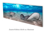 "Early Rays" 18X48 Exhibition Print Gloss