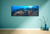 "Exquisite Reef" 18X48 Exhibition Print Satin