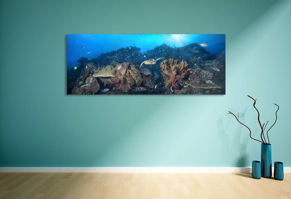 "Exquisite Reef" 18X48 Exhibition Print Satin