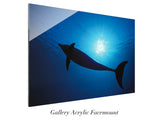 “Silhouette In Blue”
