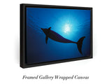 “Silhouette In Blue”