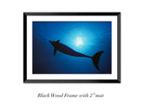 “Silhouette In Blue”