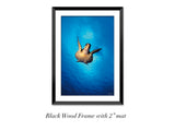 "Diving Hawk"