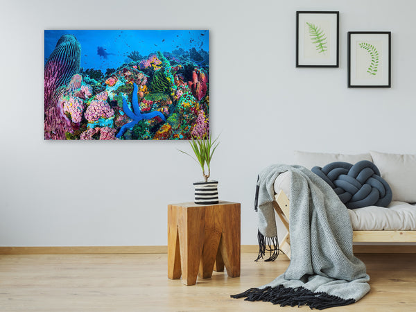 "Coral Fantasia"