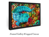 "Hungry Wolf Eel"