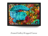 "Hungry Wolf Eel"