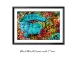 "Hungry Wolf Eel"