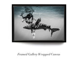 "Shark and Awe"
