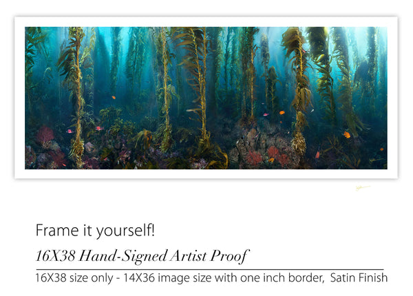 "Left of San Clemente" Artist Proof
