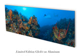 "Orange Canyon Rays" 14X36 Exhibition Print Gloss