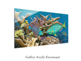 "Parrotfish Reef"