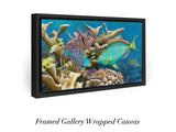 "Parrotfish Reef"