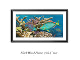 "Parrotfish Reef"
