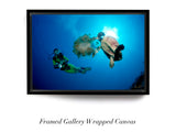 "Turtle Eating Jellyfish"