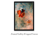 "Spinecheek Clownfish"