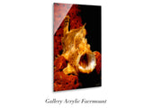 "Longlure Frogfish"
