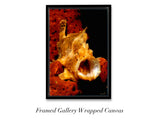 "Longlure Frogfish"