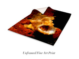 "Longlure Frogfish"