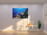 "Hunting Lionfish"