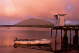 "San Quintin Panga”