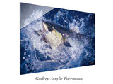 "Yellowfin Breach"