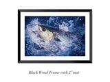 "Yellowfin Breach"