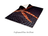"Sea Star Coral"