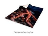 "Knobby Sea Star on Reef"