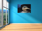 "Green Turtle"