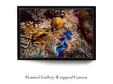 "Tridacna Clam"
