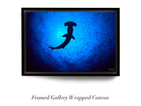 "Hammerhead Shark"