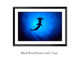 "Hammerhead Shark"