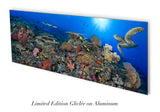 "South Point 2" 18X48    Exhibition Print Satin